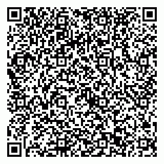 vCard 79022793324