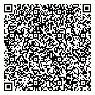 vCard 79022793329