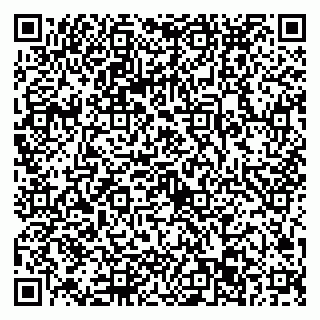 vCard 79022793345