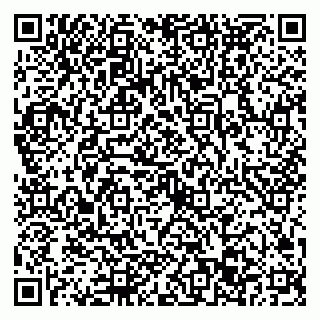 vCard 79022793381