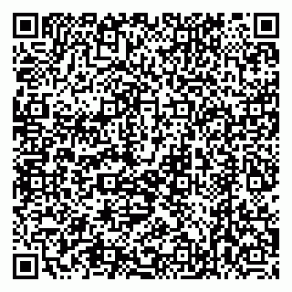 vCard 79022793411