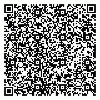 vCard 79022793413
