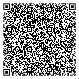 vCard 79022793417