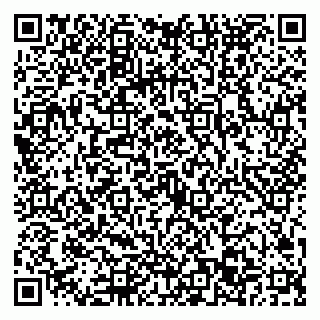 vCard 79022793421