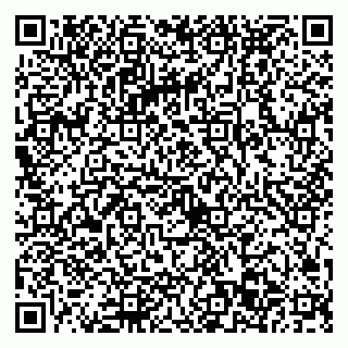 vCard 79022793502