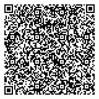 vCard 79022793521