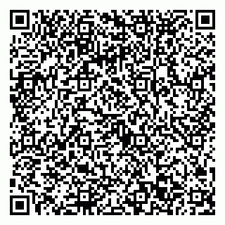 vCard 79022793532
