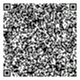 vCard 79022794529