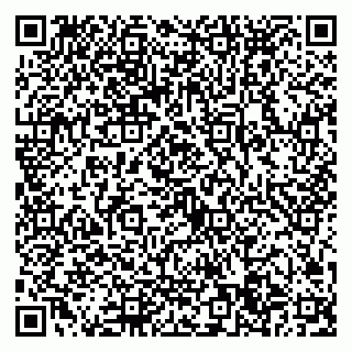 vCard 79022794531