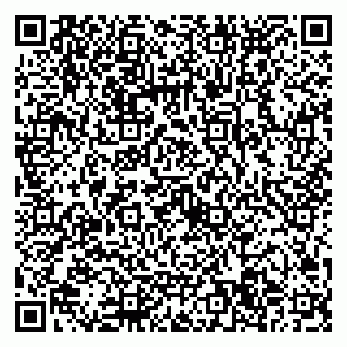 vCard 79022794533