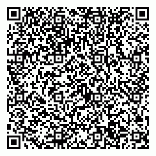 vCard 79022794541