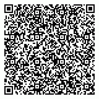 vCard 79022794593