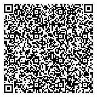 vCard 79022797329