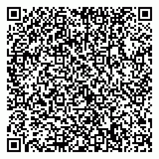 vCard 79022798965