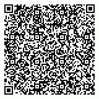 vCard 79023500131
