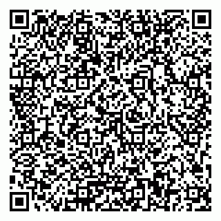vCard 79023500299
