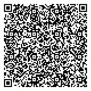 vCard 79023500317