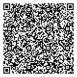 vCard 79023500331