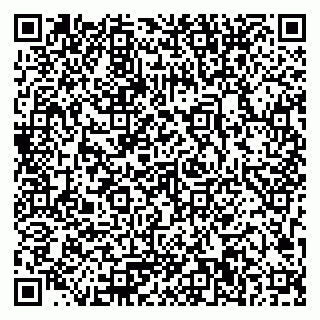 vCard 79023500335