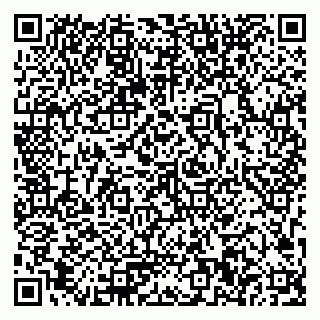 vCard 79023500370