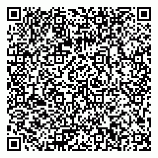 vCard 79023500381