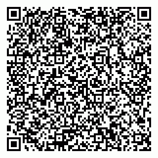 vCard 79023500387