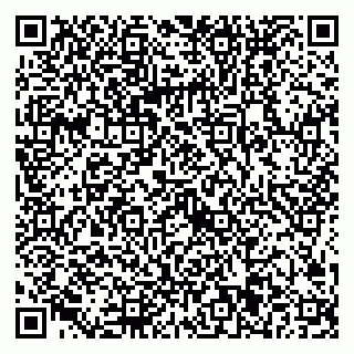 vCard 79024001173
