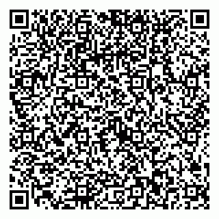 vCard 79024002011