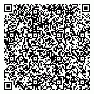 vCard 79024002939