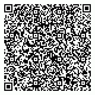 vCard 79024105338