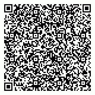 vCard 79024106331