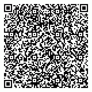 vCard 79024106333
