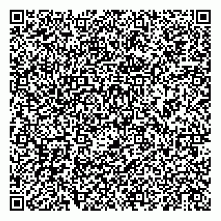 vCard 79024333988