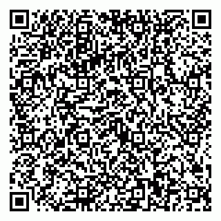 vCard 79024400199