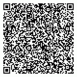 vCard 79024402599