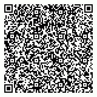 vCard 79024402603