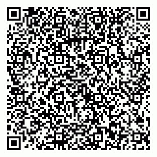 vCard 79024402678