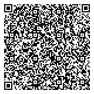 vCard 79025000039