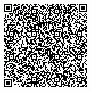 vCard 79025001063