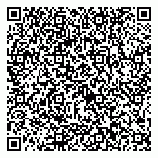 vCard 79025002763