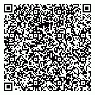vCard 79025007331
