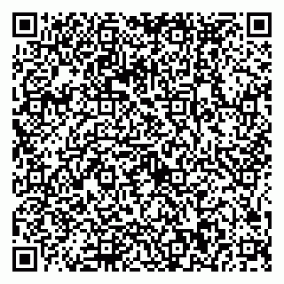 vCard 79025090002
