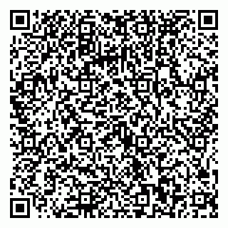 vCard 79025090028