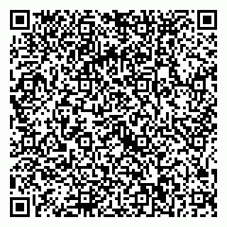 vCard 79025090035