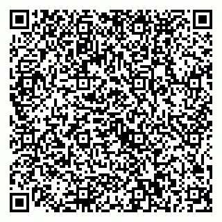 vCard 79025090037