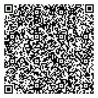 vCard 79025090241