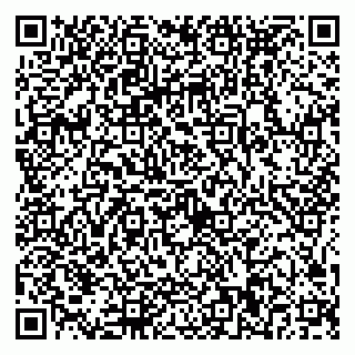 vCard 79025090301