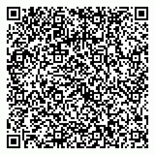 vCard 79025090303