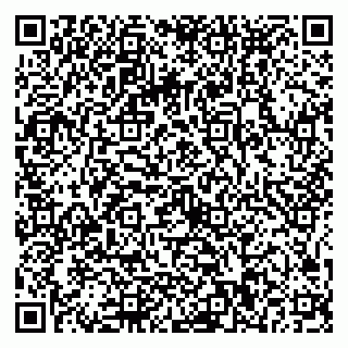 vCard 79025090313