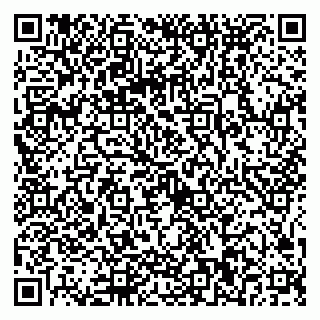 vCard 79025090331